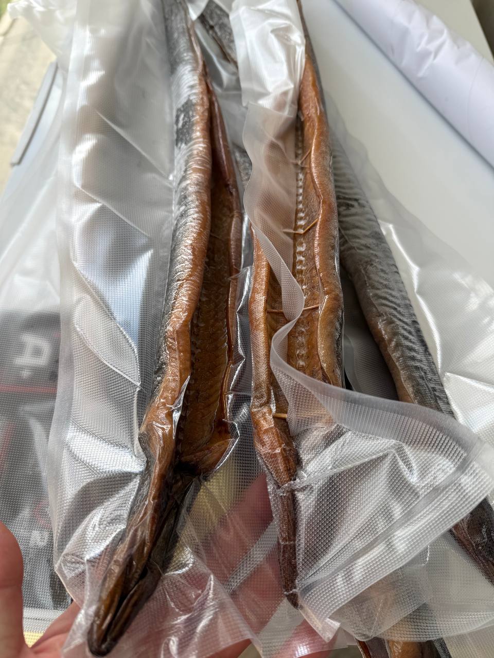 Вугор Гарячого Копчення