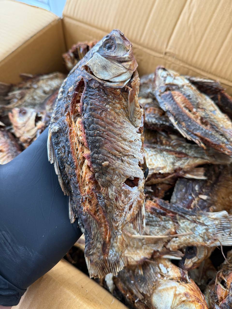 Хрумкий печений Карась