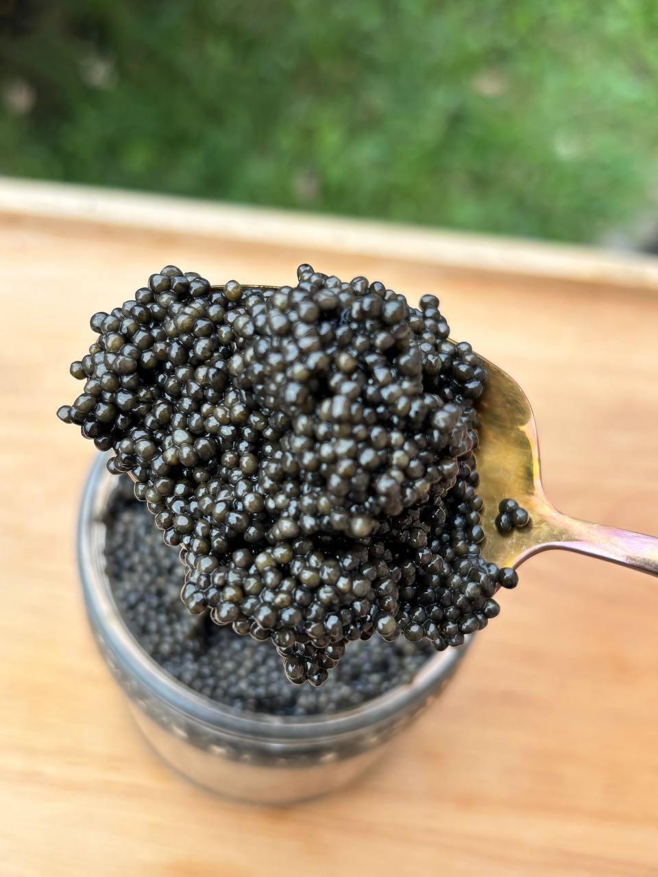 Ікра чорна Осетрова