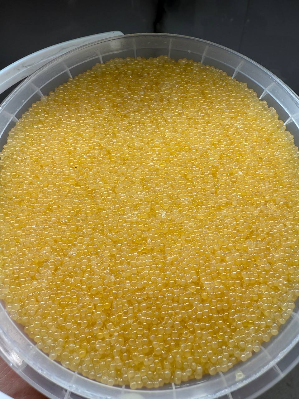 Ікра щуки слабосолона