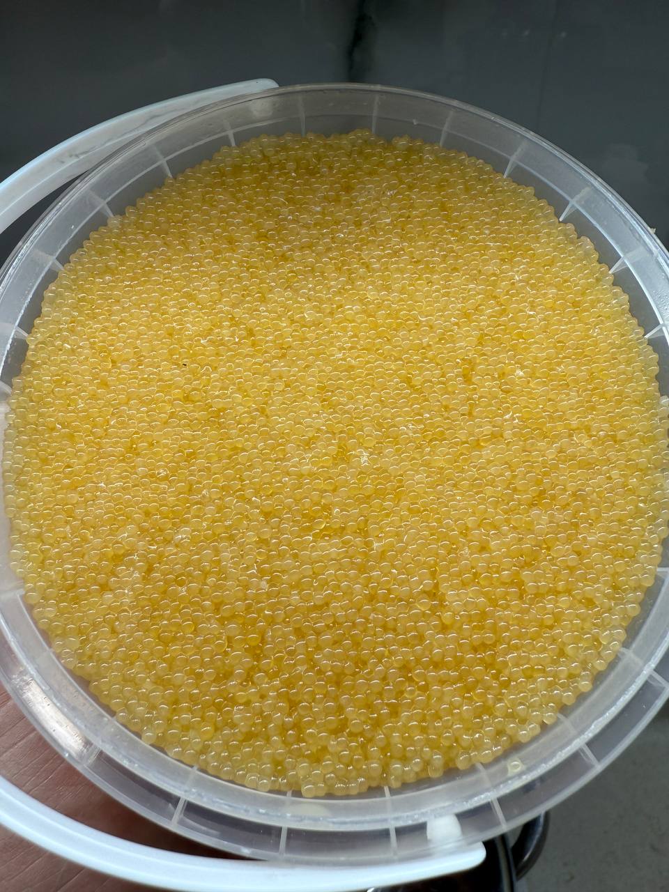 Ікра щуки слабосолона