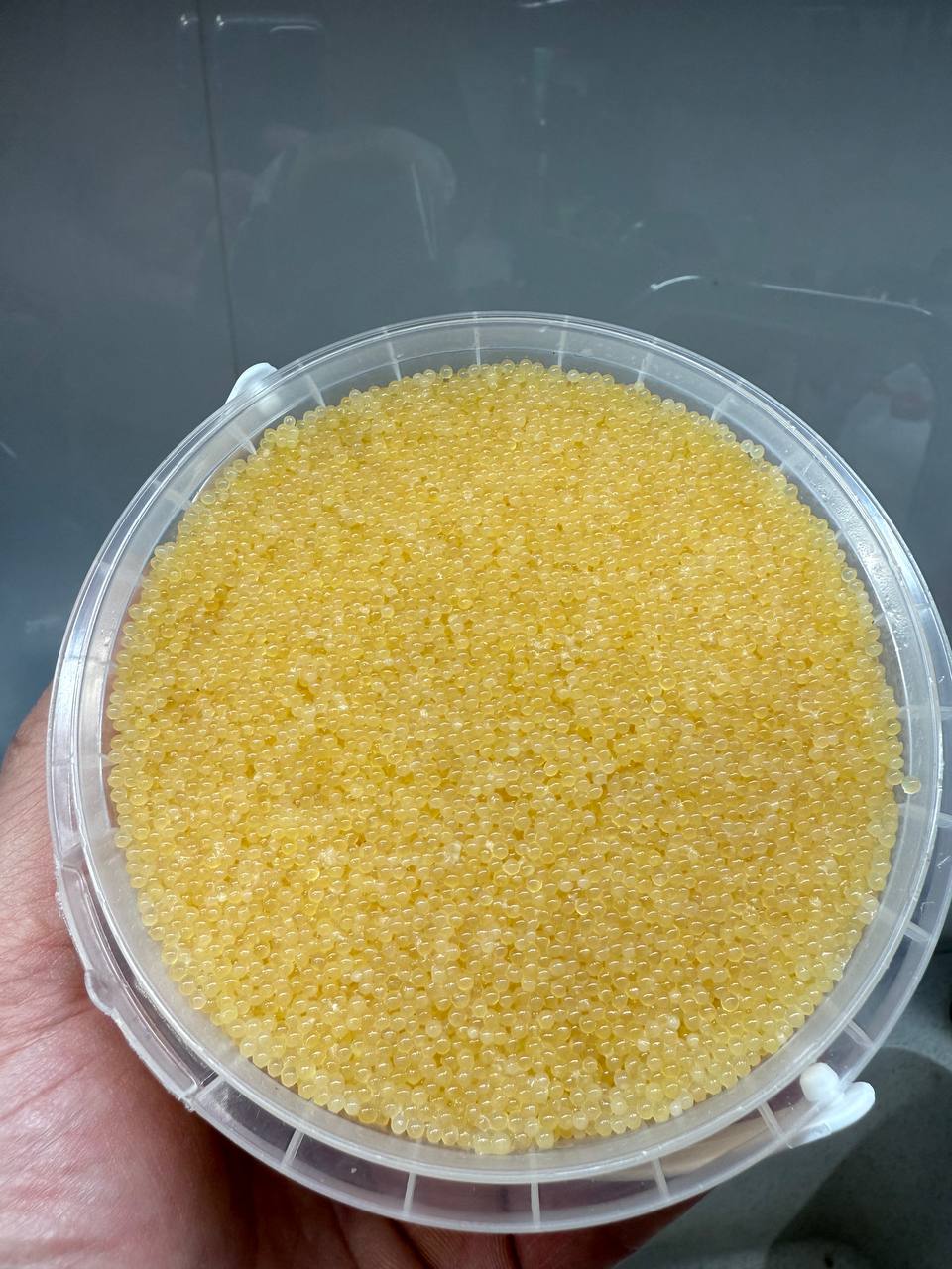 Ікра щуки слабосолона