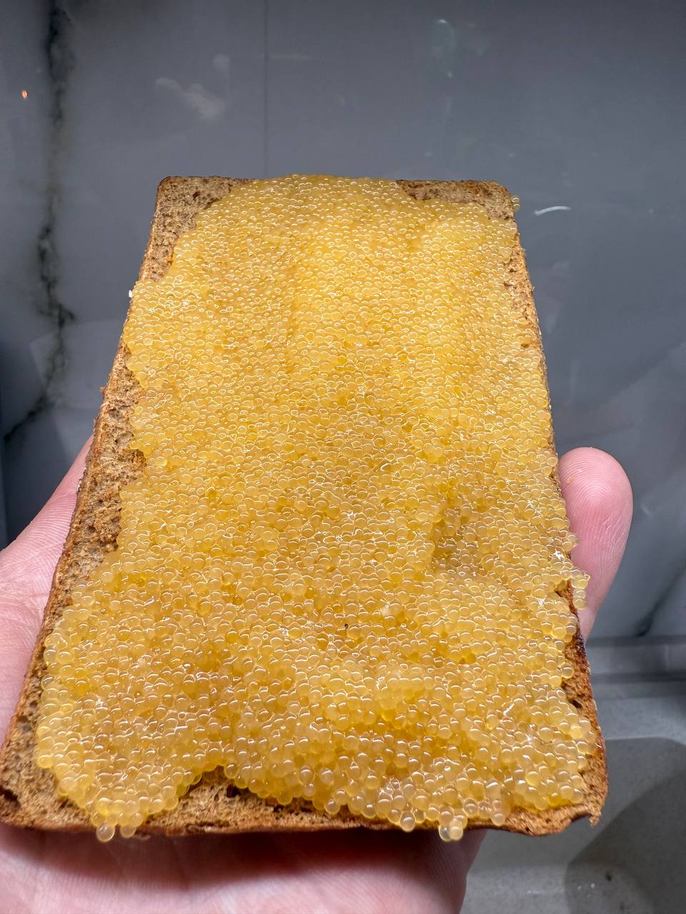 Ікра щуки слабосолона