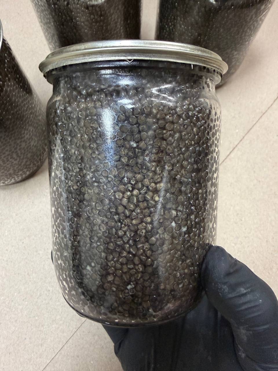 Ікра білуги