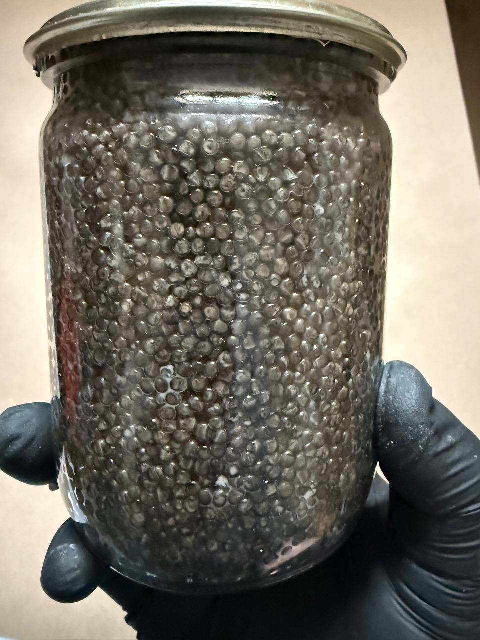 Ікра білуги