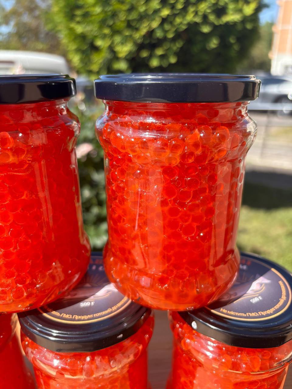 Червона ікра кета